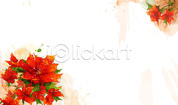 사람없음 PSD 일러스트 꽃 꽃백그라운드 백그라운드 빨간색 식물 잎 자연 컬러 포인세티아