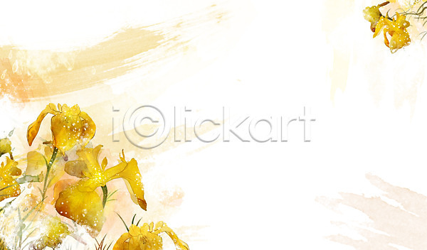 사람없음 PSD 일러스트 꽃 꽃백그라운드 노란색 노랑꽃창포 백그라운드 식물 잎 자연 컬러