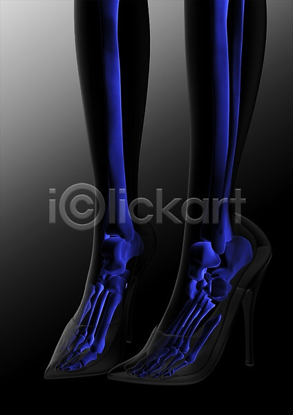 분석 사람없음 신체부위 3D PSD 입체 편집이미지 3D소스 건강 골격 구두 그래픽 다리(신체부위) 다리뼈 발 발가락 발가락뼈 발뼈 병원 뼈 신발 신체 엑스레이 의학 잡화 종아리 치료 투시 편집소스 하이힐 해부