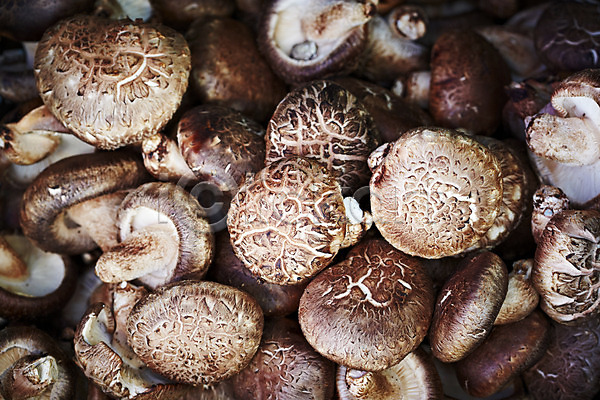 사람없음 JPG 근접촬영 아웃포커스 포토 농작물 백그라운드 버섯 식재료 웰빙 유기농 음식 채소 친환경 표고버섯