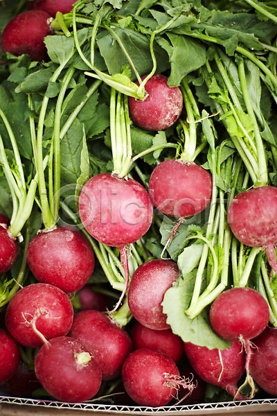 사람없음 JPG 포토 농작물 백그라운드 비트 빨간색 상자 식재료 웰빙 유기농 음식 적환무 채소 친환경 컬러