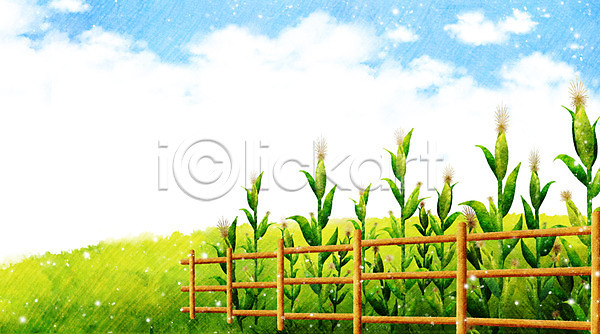 시원함 사람없음 PSD 일러스트 계절 구름(자연) 농작물 백그라운드 식물 언덕 여름(계절) 여름음식 여름풍경 옥수수 옥수수밭 울타리 자연 제철음식 초원(자연) 풀(식물) 풍경(경치) 하늘