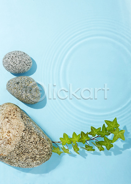 사람없음 JPG 포토 돌(바위) 물 물결 바위(돌) 백그라운드 스튜디오촬영 식물 실내 풀(식물)