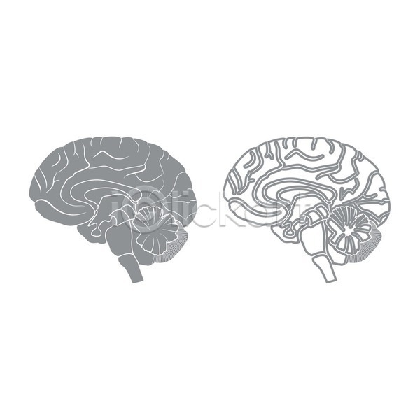 불안 스마트 아이디어 사람 EPS 일러스트 해외이미지 건강 과학 교육 뇌 마음 머리 생물학 시스템 약 오르간 지능 창조 컨셉 해부 해외202004 회색