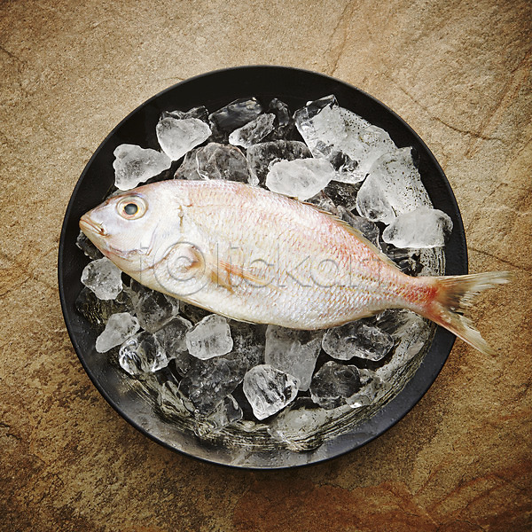 신선 사람없음 JPG 포토 갈색배경 그릇 날것 스튜디오촬영 식재료 실내 얼음 옥돔 재료 접시 한마리 해산물