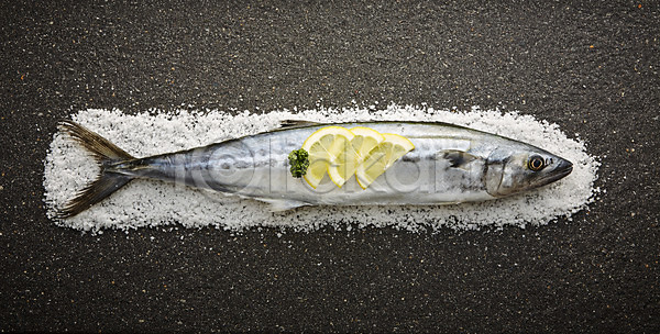 신선 사람없음 JPG 포토 검은배경 날것 레몬 삼치 소금 스튜디오촬영 식재료 실내 어류 재료 한마리 해산물