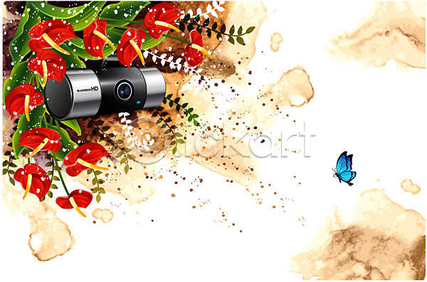 사람없음 AI(파일형식) 일러스트 곤충 꽃 꽃백그라운드 나비 동물 백그라운드 블랙박스 식물 잎 자연 전자제품 정보기술 차량용품 카라 카메라 컬러 퓨전