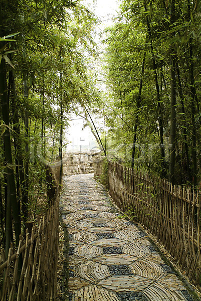 사람없음 JPG 포토 길 나무 대나무 대나무숲 산책로 숲 숲속 식물 아시아 야외 울타리 원근감 자연 주간 중국 풍경(경치) 해외 해외풍경