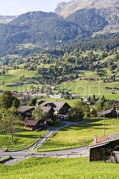 사람없음 JPG 포토 건물 고건축 길 나무 마을 산 스위스 식물 야외 유럽 자연 주간 풍경(경치) 해외 해외풍경