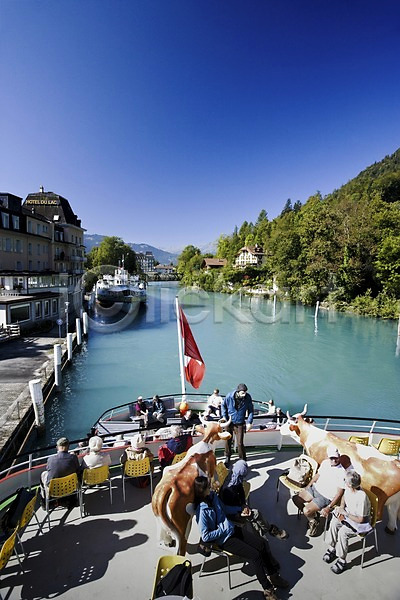 사람 서양인 여러명 외국인 JPG 포토 강 건물 나무 동물 모형 배(교통) 산 소 스위스 식물 야외 유람선 유럽 의자 자연 젖소 주간 풍경(경치) 해외 해외풍경 호수