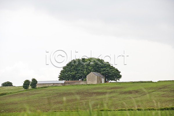 사람없음 JPG 포토 건물 구름(자연) 나무 농장 목장 시골 식물 야외 영국 웨일즈 유럽 주간 주택 창고 초원(자연) 풍경(경치) 하늘 해외 해외풍경 흐림