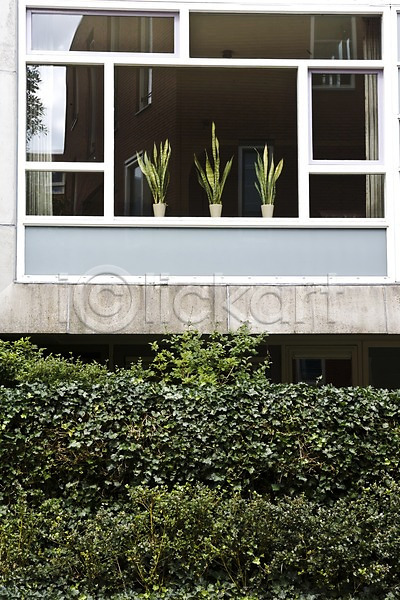 사람없음 JPG 포토 건물 건축물 나무 네덜란드 네델란드 식물 야외 오픈 외관 유럽 인테리어 주간 주택 창문 틀 풍경(경치) 해외 해외풍경 화분