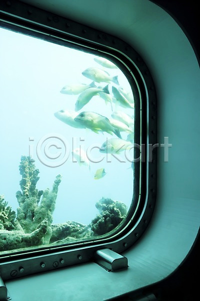 사람없음 JPG 포토 괌 동물 바다동물 바닷속 수중 수중사진 어류 잠수함 창문 풍경(경치) 해외 해외풍경