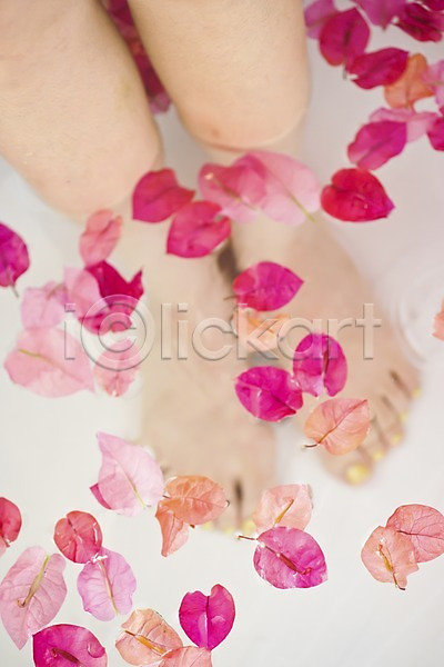 신체부위 한명 JPG 포토 괌 꽃잎 물 발 백그라운드 스파 식물 실내 양발 욕조 족욕
