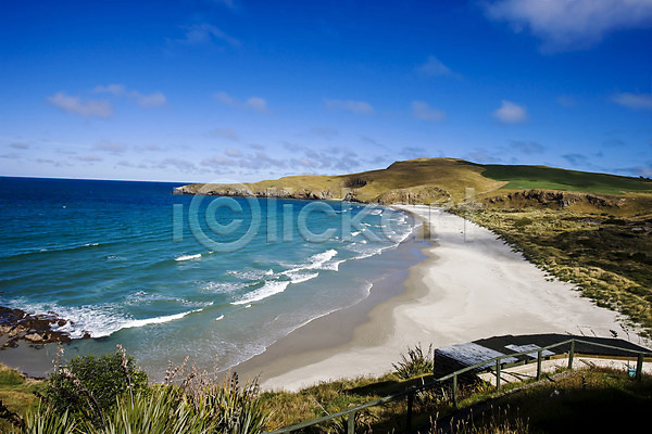 사람없음 JPG 포토 뉴질랜드 모래사장 바다 식물 야외 오세아니아 자연 주간 파도 풀(식물) 풍경(경치) 해변 해외 해외풍경