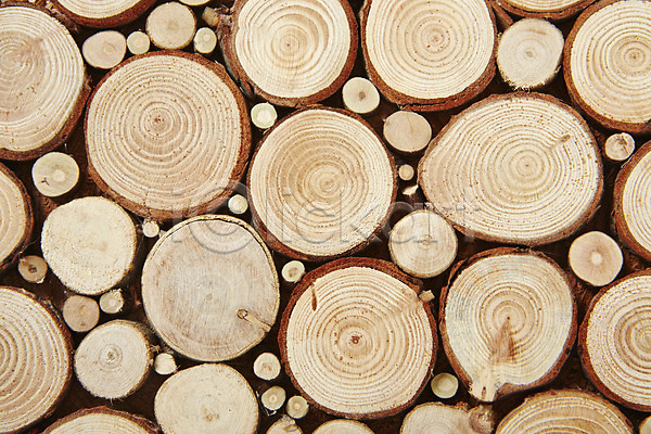 사람없음 JPG 근접촬영 포토 나무 나무토막 나이테 목재 무늬 백그라운드 스튜디오촬영 실내 질감 패턴 표면