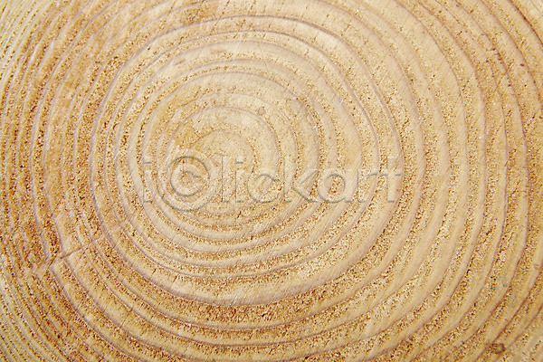 사람없음 JPG 근접촬영 포토 나무 나이테 목재 무늬 백그라운드 스튜디오촬영 실내 질감 판넬 패턴 표면