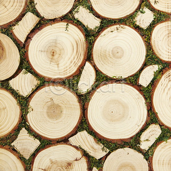 사람없음 JPG 근접촬영 포토 나무 나무토막 나이테 목재 무늬 백그라운드 스튜디오촬영 식물 실내 질감 패턴 표면 풀(식물)