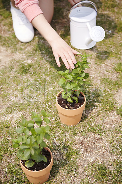 사람 신체부위 여자 한명 JPG 포토 공원 물뿌리개 물주기 손 식물 야외 원예 주간 화분