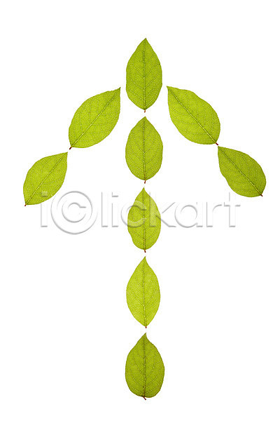 사람없음 JPG 포토 나뭇잎 누끼 모양 방향 백그라운드 스튜디오촬영 식물 실내 잎 자연 초록색 컨셉 컬러 풀(식물) 화살표