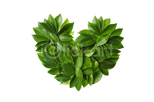 사람없음 JPG 포토 나뭇잎 누끼 백그라운드 스튜디오촬영 식물 실내 잎 자연 초록색 컨셉 컬러 풀(식물) 하트