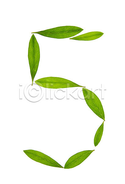 사람없음 JPG 포토 5 나뭇잎 누끼 백그라운드 숫자 스튜디오촬영 식물 실내 아라비아숫자 오 잎 자연 초록색 컨셉 컬러 풀(식물)