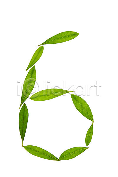 사람없음 JPG 포토 6 나뭇잎 누끼 백그라운드 숫자 스튜디오촬영 식물 실내 아라비아숫자 잎 자연 초록색 컨셉 컬러 풀(식물)