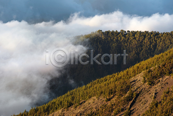 사람없음 JPG 포토 해외이미지 계곡 공원 구름(자연) 나무 내추럴 바다 벽지 분화구 산 섬 소나무 숲 스페인 야외 언덕 여행 용암 자연 전국 절정 초록색 파란색 풍경(경치) 하늘 하이킹 해외202004 화산 환경