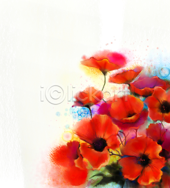 사람없음 JPG 포토 해외이미지 그림 꽃 미술 번짐 빨간색 손그림 수채화(물감) 양귀비 해외202004