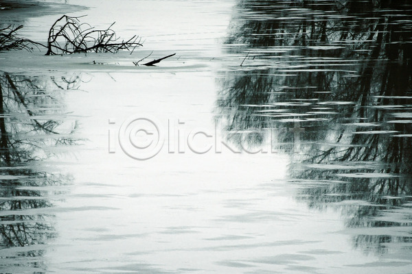 사람없음 JPG 포토 해외이미지 겨울 겨울풍경 반사 야외 연못 자연 주간 해외202004