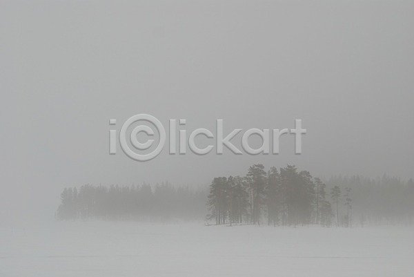 사람없음 JPG 포토 해외이미지 검은색 겨울 나무 숲 안개 해외202004 호수 흰색