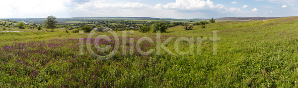 침묵 흐름 사람 사람없음 JPG 포토 해외이미지 계절 꽃무늬 나무 남쪽 내추럴 물 밀 백그라운드 봄 빛 빛망울 산 산악지대 삼림지대 수평선 숲 시골 식물 안개 야외 여름 여행 일출 잎 자연 장면 초록색 태양 파란색 패턴 풍경 하늘 해외202004 해외포토 햇빛