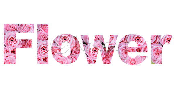 사람없음 JPG 포토 해외이미지 꽃 단어 대문자 디자인 문장 백그라운드 사인 소문자 심볼 알파벳 자연 장미 종이 캐릭터 컨셉 타입 텍스트 편지 해외202004 해외포토