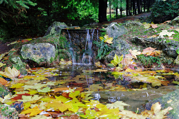 사람없음 JPG 포토 해외이미지 가을(계절) 강 개울 계절 물 식물 잎 자연 해외202004
