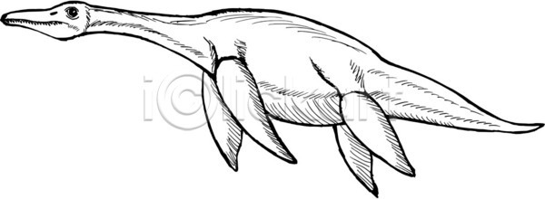 EPS 일러스트 해외이미지 공룡 동물 만화 몬스터 바다 선사시대 손 손그림 스케치 육식동물 쥬라기 해외202004 해외일러스트