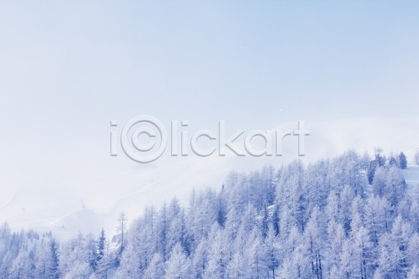사람없음 JPG 포토 해외이미지 겨울 겨울풍경 나무 산 야외 오스트리아 자연 주간 해외202004
