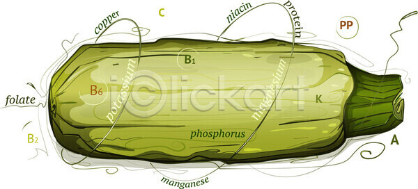 신선 활발 EPS 일러스트 해외이미지 가지 건강 고립 광택 그림 내추럴 농업 다이어트 디자인 목차 미술 백그라운드 수확 스케치 스쿼시 심볼 오브젝트 유기농 음식 자연 장식 재료 정보 정원 주키니 차트 채소 채식주의자 초록색 추상 컬러풀 해외202004 호박 흰색