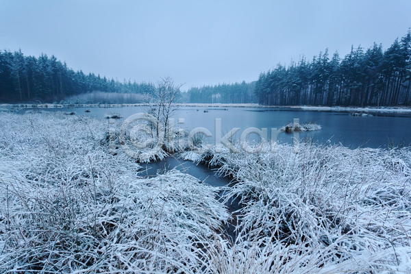 사람없음 JPG 포토 해외이미지 겨울 겨울풍경 네덜란드 야외 자연 주간 풀(식물) 해외202004 호수