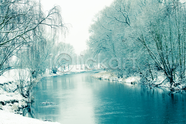 사람없음 JPG 포토 해외이미지 강 겨울 겨울풍경 나무 독일 야외 자연 주간 해외202004