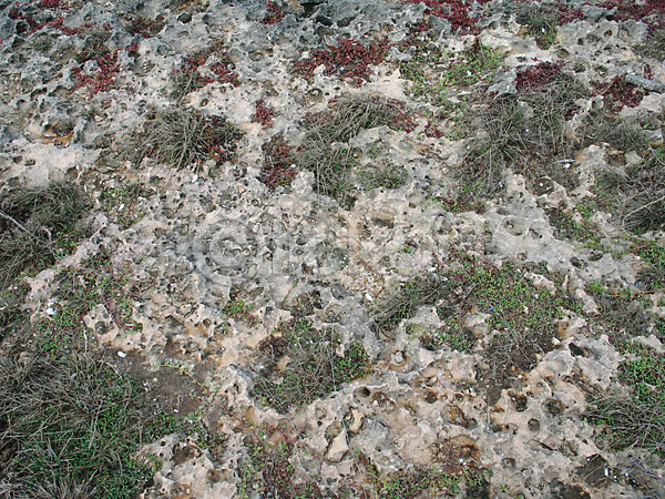 건조 만족 사람없음 JPG 포토 해외이미지 내추럴 닫기 땅바닥 먼지 모래 바위 백그라운드 산호 선 식물 암초 유기농 질감 해외202004
