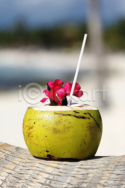 사람없음 JPG 아웃포커스 해외이미지 빨대 야외 여름(계절) 열대꽃 코코넛주스 해변