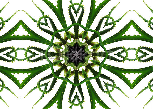 사람없음 JPG 포토 해외이미지 겨울 꽃 꽃무늬 꽃잎 노란색 눈송이 대칭 디자인 만다라 만화경 물 백그라운드 별 복고 원형 자연 추상 태양 패턴 해외202004