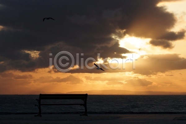 따뜻함 사람없음 JPG 포토 해외이미지 구름(자연) 동물 물 바다 벤치 빛 수평선 야외 오렌지 의자 일출 조류 천국 풍경(경치) 하늘 해외202004 햇빛