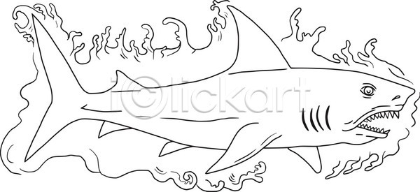 EPS 일러스트 해외이미지 고립 그래픽 그림 동물 물 상어 손그림 스케치 스크래치 야생동물 어류 육식동물 잉크 치아 해외202004 해외일러스트 핸드메이드 흰배경