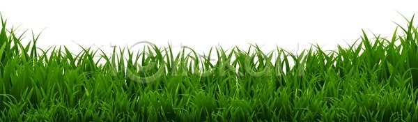 보호 EPS 일러스트 해외이미지 가로 꽃무늬 내추럴 다발 맑음 미술 밭 백그라운드 봄 부활절 생태학 세트 식물 에코 여름(계절) 오브젝트 원예 잎 자연 잔디 정원 초록색 추상 큼 태양 프레임 해외202004 해외일러스트 허브 환경