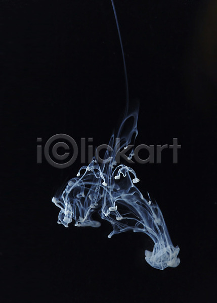 흐름 사람없음 JPG 포토 검은배경 모양 백그라운드 번짐 스튜디오촬영 실내 액체 잉크 잉크백그라운드 컬러 표현 흰색