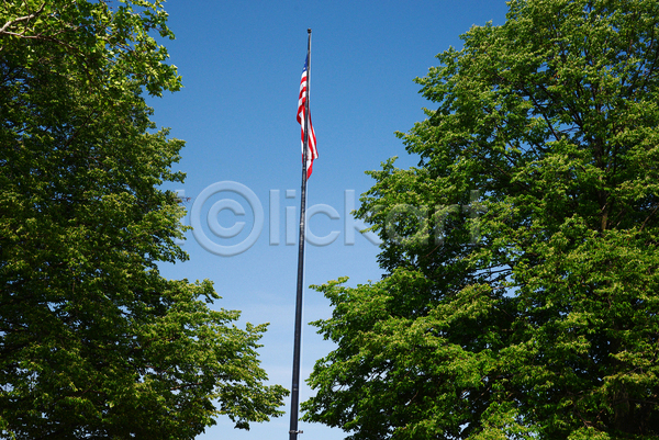 사람없음 JPG 포토 해외이미지 깃발 나무 뉴욕 미국 줄무늬 파란색 하늘 해외202004