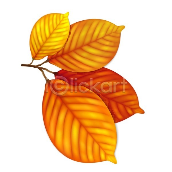 떨어짐 우아함 EPS 일러스트 해외이미지 가을(계절) 갈색 계절 곡선 그래픽 그림 꽃무늬 나무 나뭇가지 노란색 디자인 미술 빨간색 세트 식물 심볼 엘리먼트 오렌지 잎 자연 장식 정맥 줄기 질감 해외202004