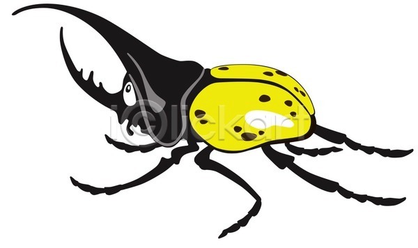 남자 EPS 일러스트 해외이미지 거인 고립 곤충 노란색 동물 동물상 딱정벌레 벌레 야생동물 종류 해외202004