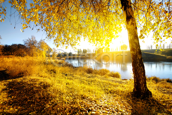사람없음 JPG 포토 해외이미지 가을(계절) 가을풍경 강 나무 낙엽 야외 자연 주간 하늘 해외202004 햇빛